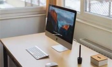 《天涯社区旅游奇遇记：当本地人带你漫游秘境》