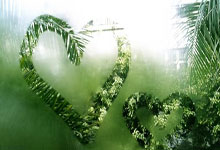 用户提问：龙吟天涯论坛是啥？老论坛的滚刀肉味道！