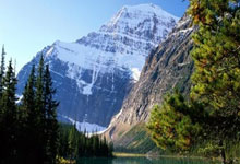 王力威在天涯社区的故事：一个普通网民的网络冒险