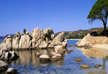 瑜伽天涯论坛——探索瑜伽世界的秘密基地